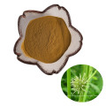 Hot Sale Herbal Plant Rhizoma Sparganii Root Extract powder used to stop pain